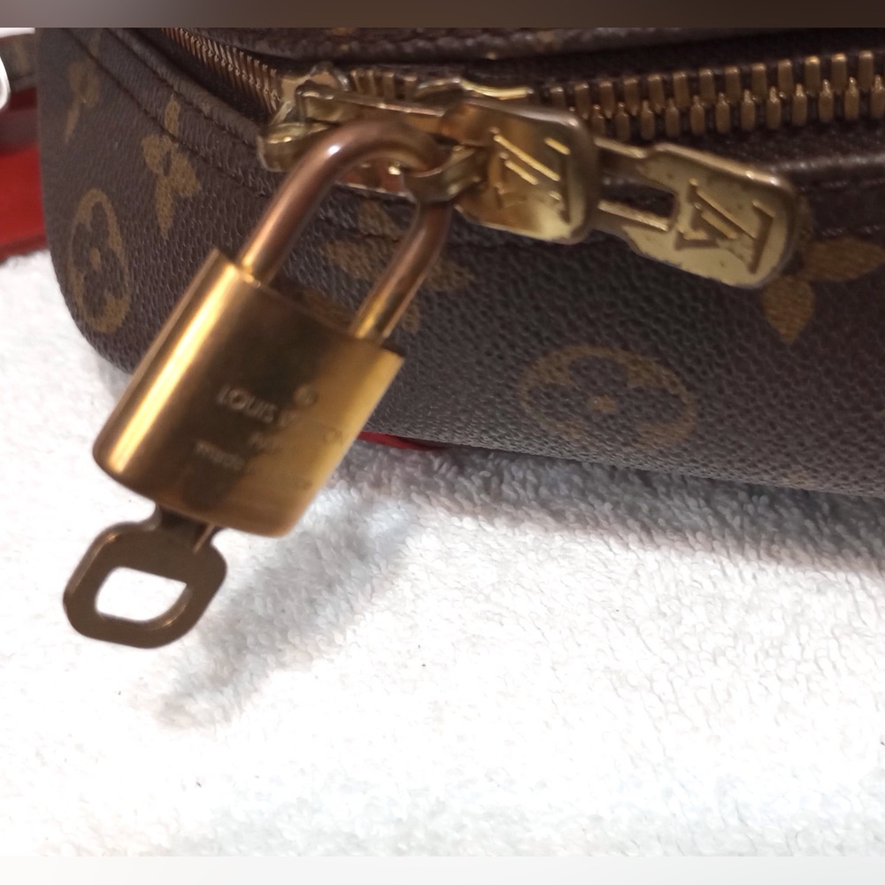 Louis Vuitton Bag - Picture 11 of 16
